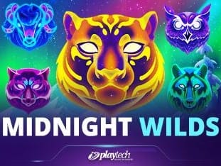 Midnight Wilds